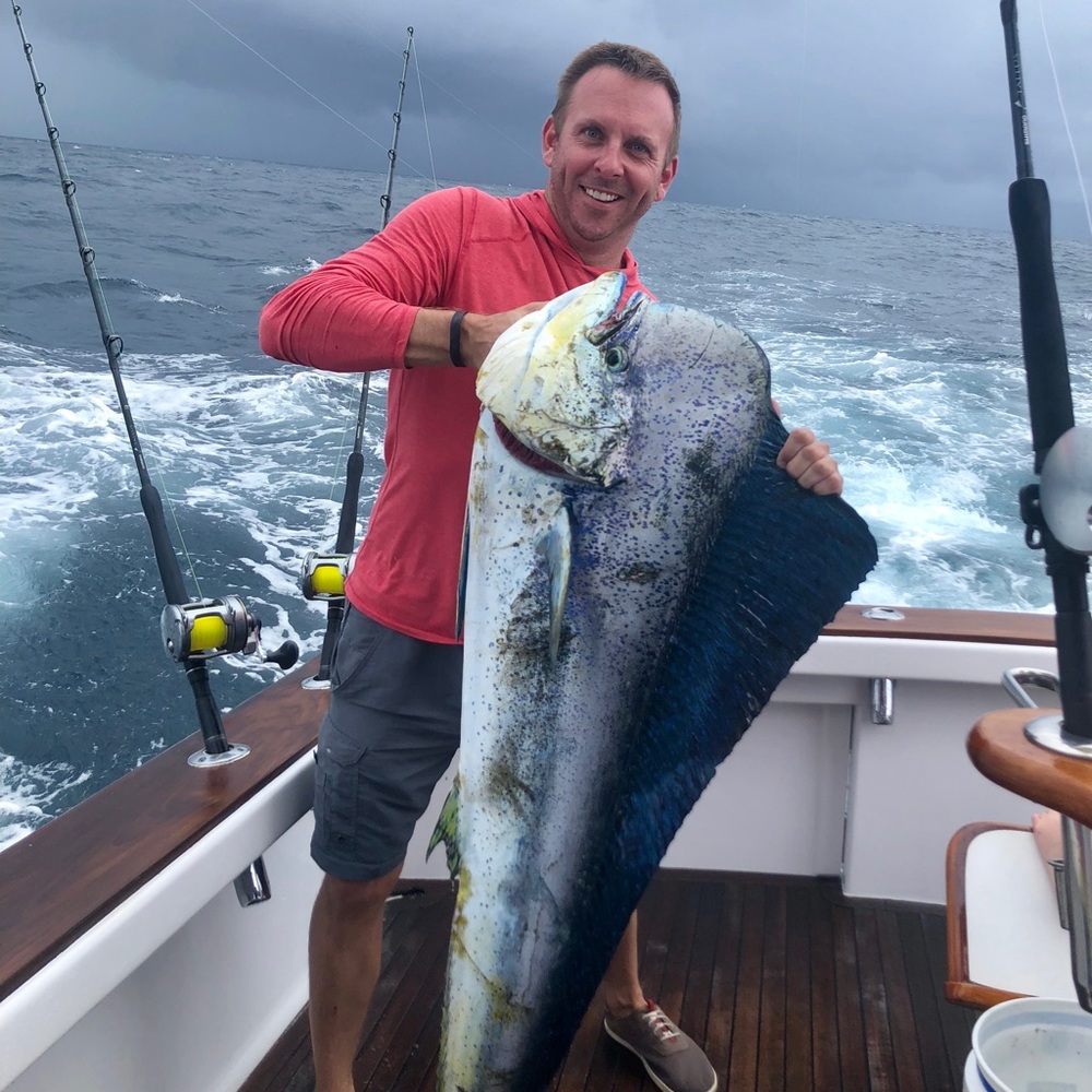 Meet your Posher, Samuel